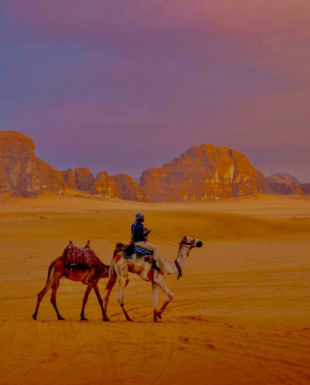 Hidden Wadi Rum Camp Zewnętrze zdjęcie